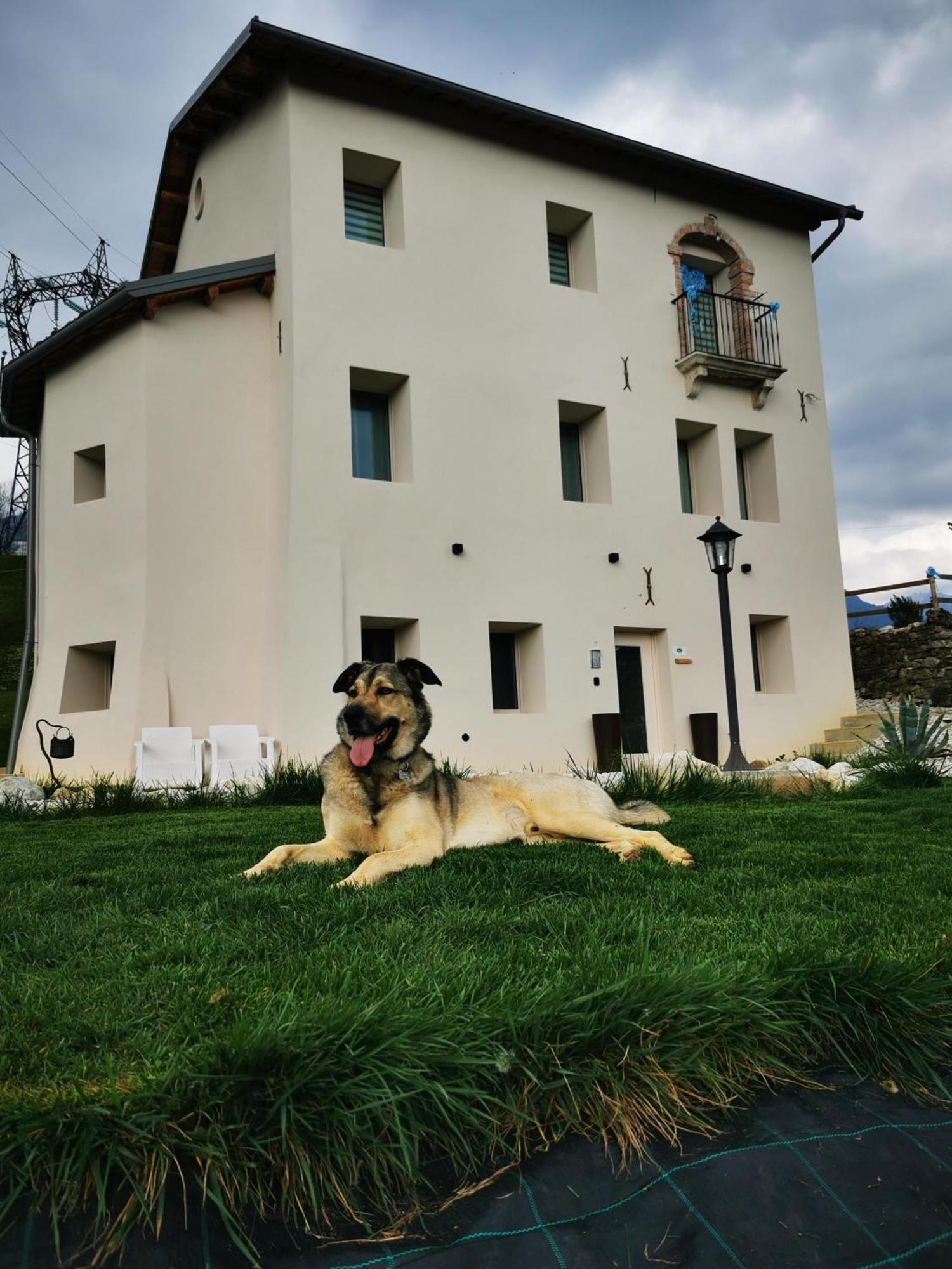 Bed & Breakfast Casa Borriero Charme *